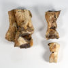 Tyrannosaurid dew claw plus phalanges - Alioramus - Image 11