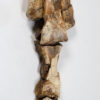 Tyrannosaurid dew claw plus phalanges - Alioramus - Image 12