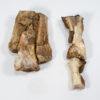 Tyrannosaurid dew claw plus phalanges - Alioramus - Image 13