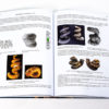 New book on heteromorph ammonites, The Natural Canvas
