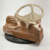 Partial dinosaur - Protoceratops - Image 2