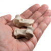 Oviraptor phalanges - "Ingenia" - Image 6