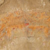 Ordovician Onychodictyon-like Lobopod - Image 3