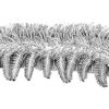 Ordovician Onychodictyon-like Lobopod - Image 2
