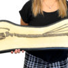 Pterosaur Wing  - Pteranodon sp. - Image 4