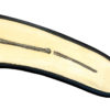 Pterosaur Wing  - Pteranodon sp. - Image 6