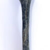 Theropod Leg - "Black Beauty" - Image 3