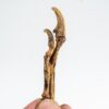 Velociraptor hand - Image 2