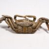 High Quality Crab &#8211; Macrophthalmus, The Natural Canvas