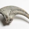 Ultra-rare dinosaur claw - Falcarius - Image 2