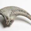 Ultra-rare dinosaur claw &#8211; Falcarius, The Natural Canvas