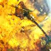 Flowers in Cretaceous Amber, The Natural Canvas