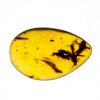 Cretaceous Flower in Amber, The Natural Canvas