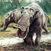 Texas gompothere tooth - Blancotherium - Image 4