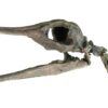 Complete 3D Pliocene Bird &#8211; Phalacrocorax, The Natural Canvas