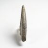 Ultra-rare dinosaur claw &#8211; Falcarius, The Natural Canvas