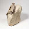 Museum quality camel skull &#8211; Poebrotherium, The Natural Canvas