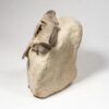 Museum quality camel skull - Poebrotherium - Image 2