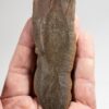 The Tully Monster - Tullimonstrum - Image 3