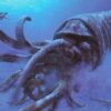 Orthoconic nautiloid with soft parts - Reticycloceras - Image 3