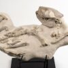 Oreodont skeleton - Merycoidodon - Image 2