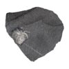 Iconic Burgess Shale arthropod - Marrella splendens - Image 3