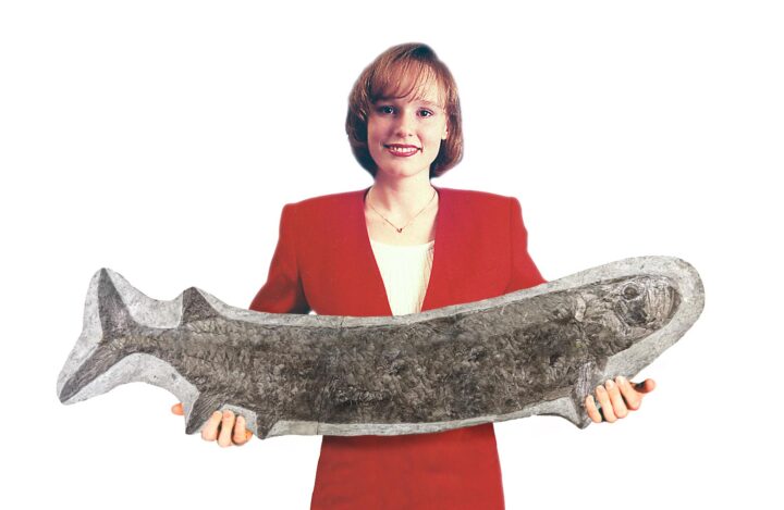 Huge Cretaceous fish - Cladocyclus