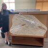 Enormous Cretaceous bat rays - Libanopristis - Image 2