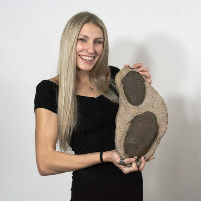 Huge Burmeisterella trilobite pair