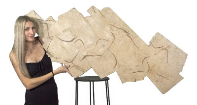 Extraordinary California pipefish display - Syngnathus