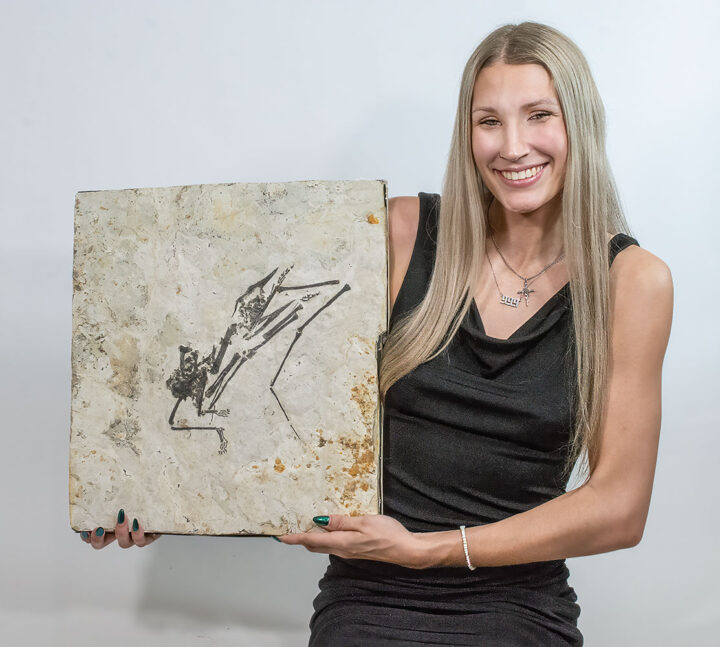 RARE Complete Pterosaur -Sinopterus sp.