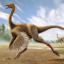 Ornithomimus Hand Claw- mongolensis - Image 5