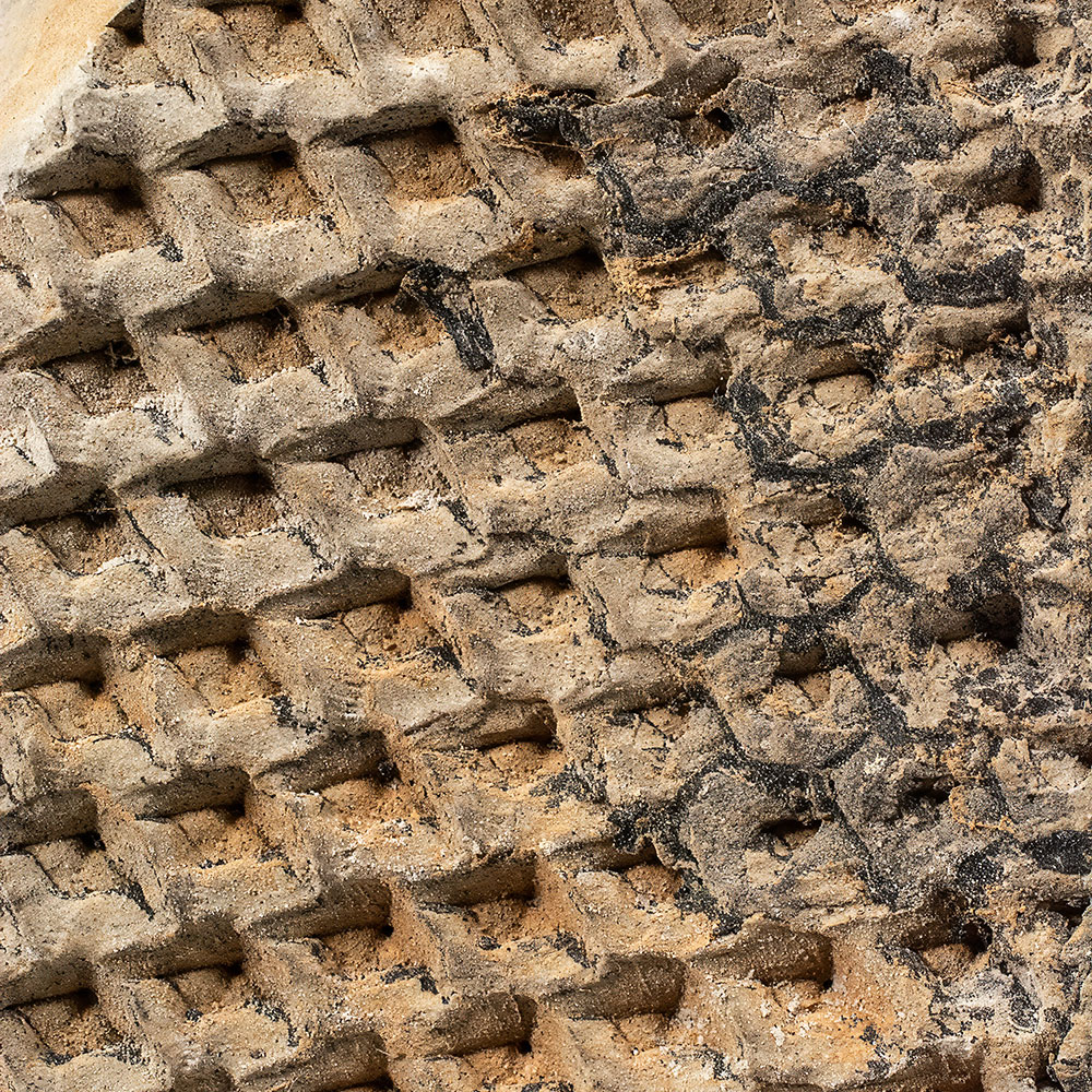 Bark Impression - Lepidodendron sp. - Image 3