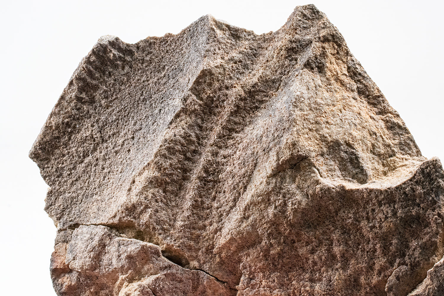 Iconic Ediacaran fossil from Namibia - Pteridinium - Image 2