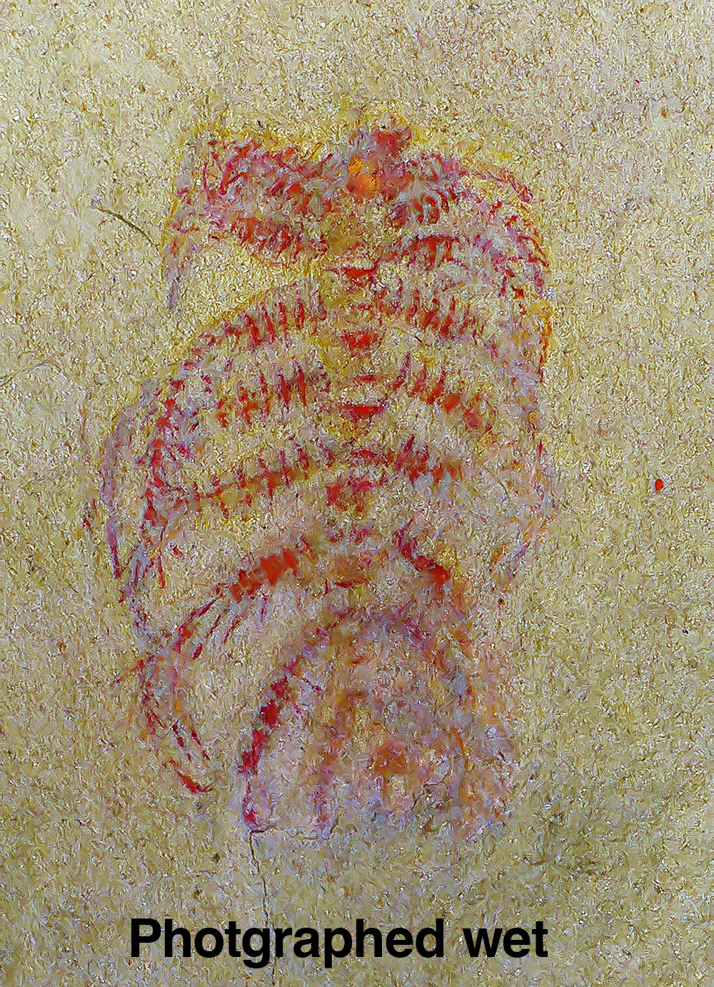 Amazing Lobopod - Diania cactiformis - Image 4