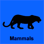 Mammals