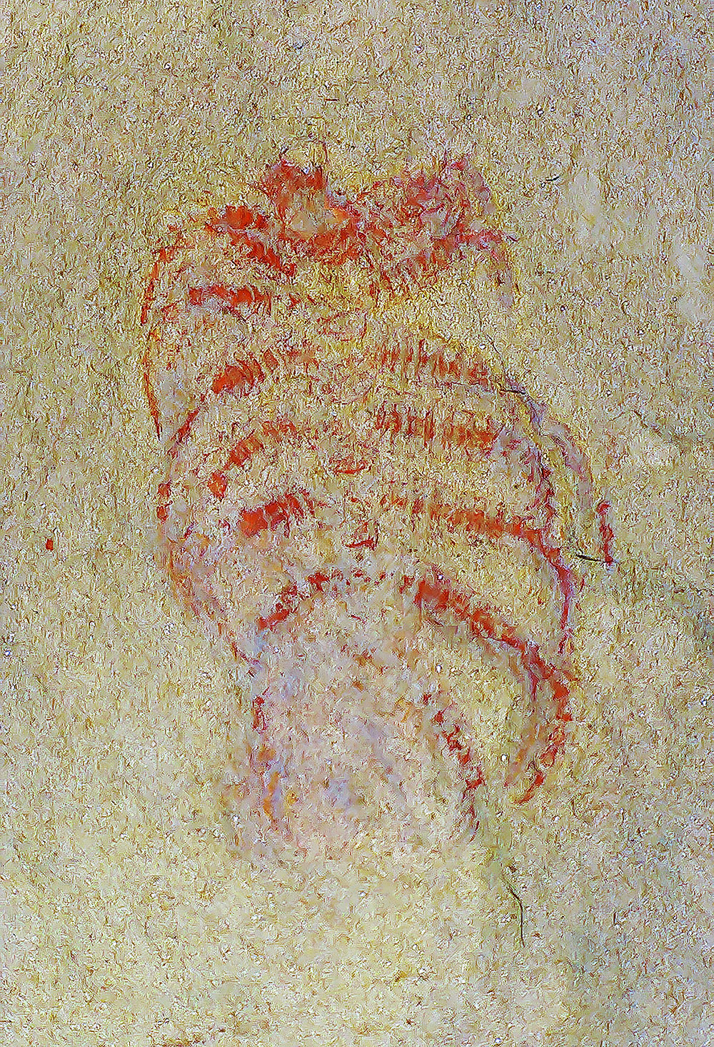 Ordovician lobopodian - Diania cactiformis